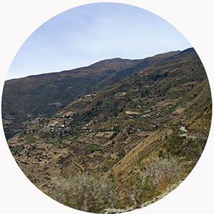 Portfolio Image