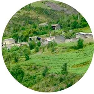 Portfolio Image