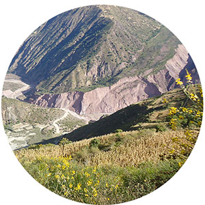 Portfolio Image