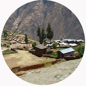 Portfolio Image