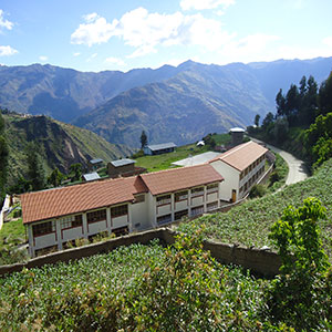 Colegio
