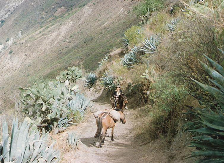 promo-image